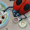 Trompe l'oeil ladybird's lunch, April 2004.