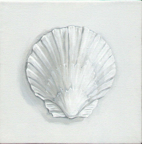 grisaille scallop shell, acrylic on canvas