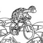 illustration for cycling campaign