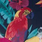 selfridges parrot