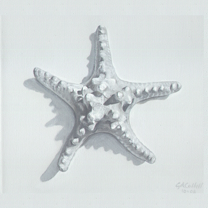 grisaille spondylus shell, acrylic on canvas
