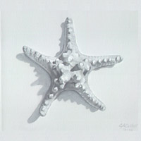 Starfish