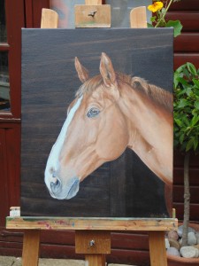 Oil on linen canvas horse portrait. 40 x 50 cm,
