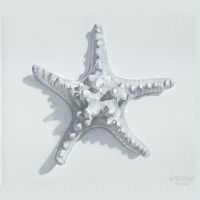 Sea Star Acrylic on canvas, 25 x 25 cms