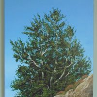 Tree portrait, acrylic on synthetic canvas